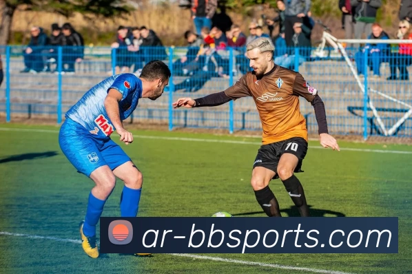 BBSport体育投注平台平台生态图